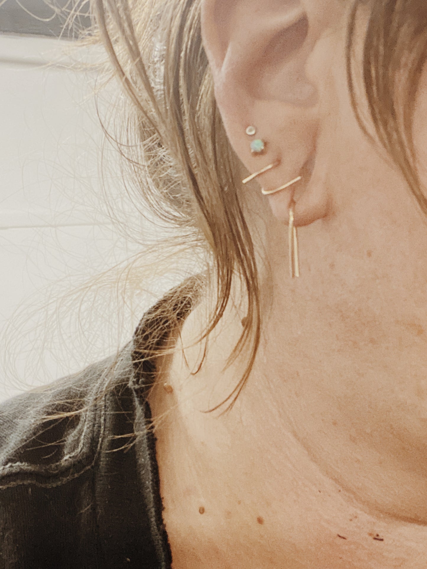 Horseshoe Earrings