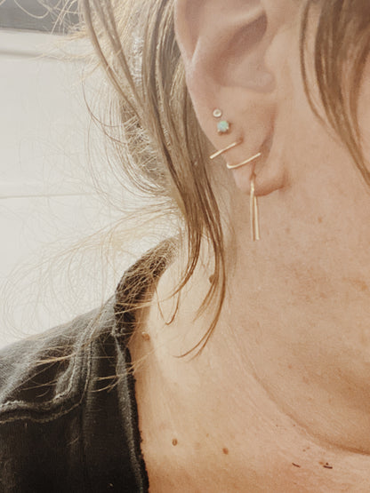 Horseshoe Earrings