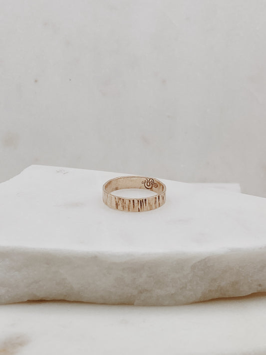 Aspen Band